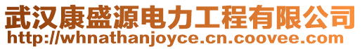 武漢康盛源電力工程有限公司