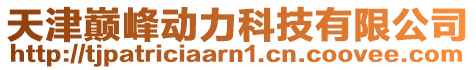 天津巔峰動力科技有限公司