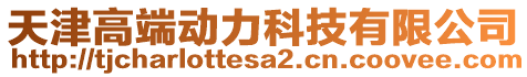 天津高端動力科技有限公司