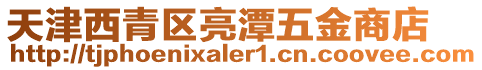 天津西青區(qū)亮潭五金商店