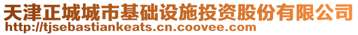 天津正城城市基礎(chǔ)設(shè)施投資股份有限公司