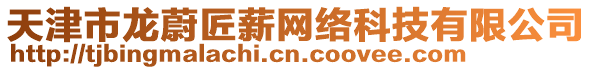 天津市龍蔚匠薪網絡科技有限公司