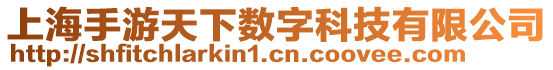 上海手游天下數字科技有限公司