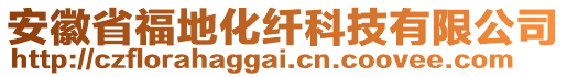 安徽省福地化纖科技有限公司