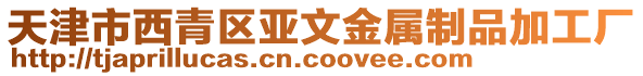 天津市西青區(qū)亞文金屬制品加工廠