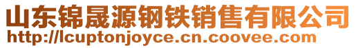 山東錦晟源鋼鐵銷售有限公司