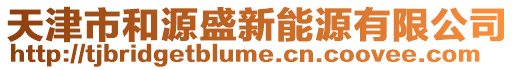 天津市和源盛新能源有限公司