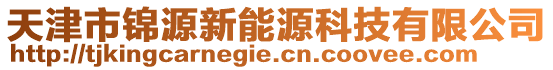 天津市錦源新能源科技有限公司