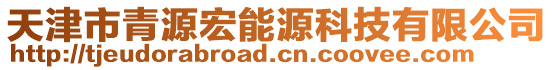 天津市青源宏能源科技有限公司