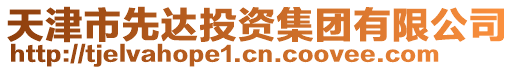 天津市先達投資集團有限公司
