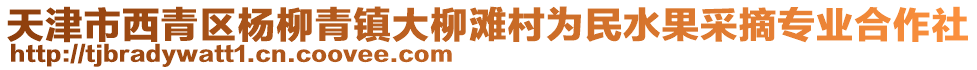天津市西青區(qū)楊柳青鎮(zhèn)大柳灘村為民水果采摘專業(yè)合作社
