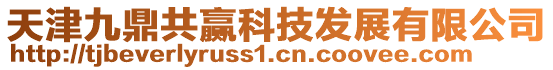 天津九鼎共贏科技發展有限公司