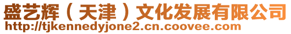 盛藝輝（天津）文化發(fā)展有限公司