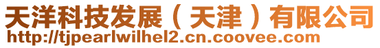 天洋科技發(fā)展(天津)有限公司