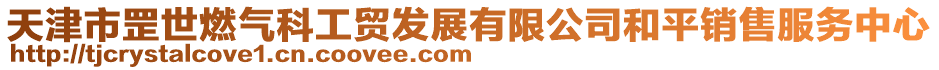 天津市罡世燃?xì)饪乒べQ(mào)發(fā)展有限公司和平銷售服務(wù)中心