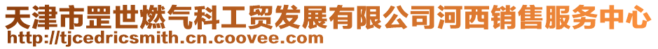 天津市罡世燃氣科工貿發展有限公司河西銷售服務中心