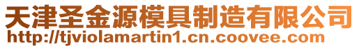 天津圣金源模具制造有限公司