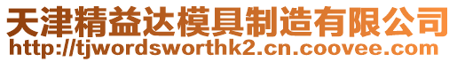 天津精益達模具制造有限公司