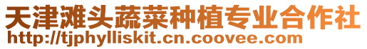 天津?yàn)╊^蔬菜種植專業(yè)合作社