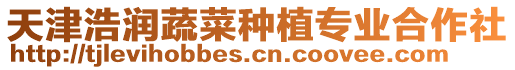 天津浩潤蔬菜種植專業合作社