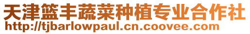 天津籃豐蔬菜種植專業(yè)合作社