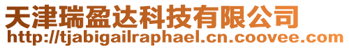 天津瑞盈達科技有限公司