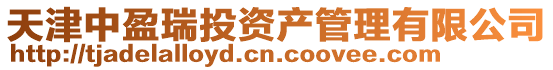 天津中盈瑞投資產管理有限公司