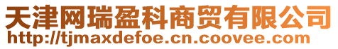 天津網瑞盈科商貿有限公司