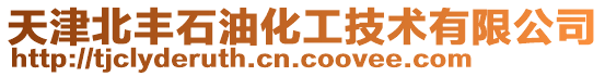 天津北豐石油化工技術(shù)有限公司