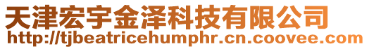 天津宏宇金澤科技有限公司