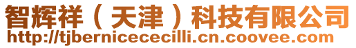 智輝祥(天津)科技有限公司