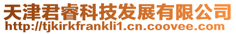 天津君睿科技發展有限公司
