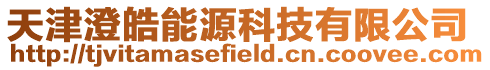 天津澄皓能源科技有限公司