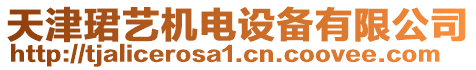天津珺藝機(jī)電設(shè)備有限公司