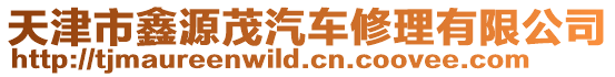 天津市鑫源茂汽車修理有限公司