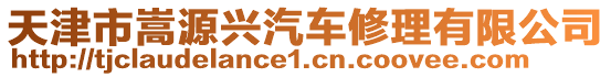 天津市嵩源興汽車修理有限公司