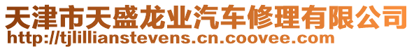 天津市天盛龍業汽車修理有限公司