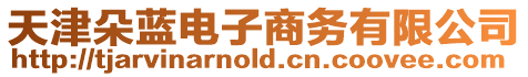 天津朵藍電子商務有限公司