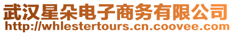 武漢星朵電子商務有限公司