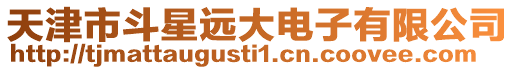 天津市斗星遠(yuǎn)大電子有限公司