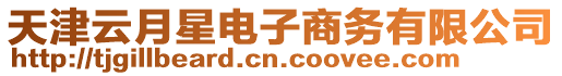 天津云月星電子商務(wù)有限公司