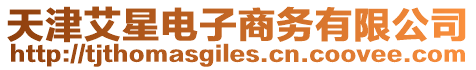 天津艾星電子商務有限公司