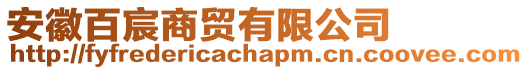 安徽百宸商貿有限公司