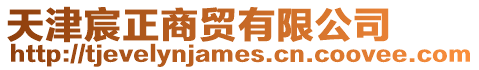 天津宸正商貿有限公司