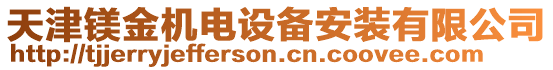 天津鎂金機(jī)電設(shè)備安裝有限公司