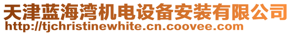 天津藍(lán)海灣機(jī)電設(shè)備安裝有限公司