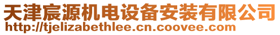 天津宸源機(jī)電設(shè)備安裝有限公司