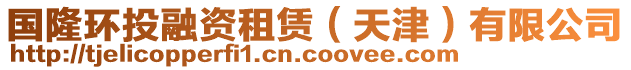 國(guó)隆環(huán)投融資租賃（天津）有限公司