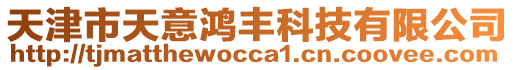 天津市天意鴻豐科技有限公司