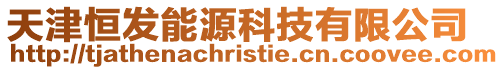 天津恒發能源科技有限公司